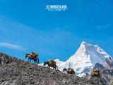 K2 Wonderland——徒步乔戈里