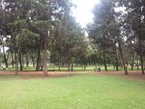 波哥大市区游记之--玻利瓦尔公园
