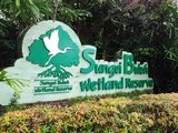 揭秘奇妙之旅  新加坡双溪布洛湿地保护区