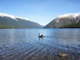 孤独之旅，驶向地球边缘：冬季一人自驾新西兰南岛大环线，18天3800公里