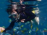 201610- 一个在Palau闲逛，另一个在Palau看海龟