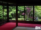 穷游沙龙第234期 | 逛寺逛吃，京都进阶之旅