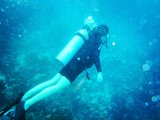爱深埋珊瑚海－波多黎各5天4夜潜水行