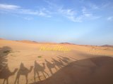 最亮的星星——摩洛哥沙漠记（摩洛哥系列之一）