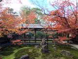最美京都 | 京都悠闲一日和服体验