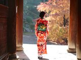 【关西红叶季】最动人的枫叶红！（民古屋、京都、大阪深度游）