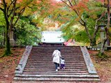 【落落の旅】枫红之季与日本初见—1岁4个月宝宝的日本关东关西狩枫之旅（亲子景点、宝宝泡温泉问答）