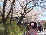 三对小情侣的日本红叶蜜月——带着爸妈去旅行