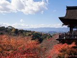最美京都-秋日的尾声-京都Q-home和服体验及走起