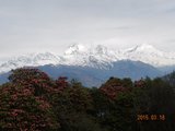 2015年3月-4月尼泊尔游--安纳布尔纳峰徒步