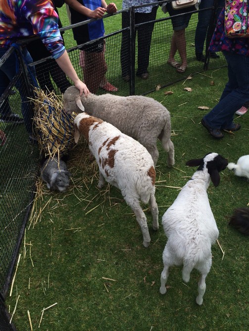 西澳大利亚大学旅游图片 西澳大利亚大学旅游
