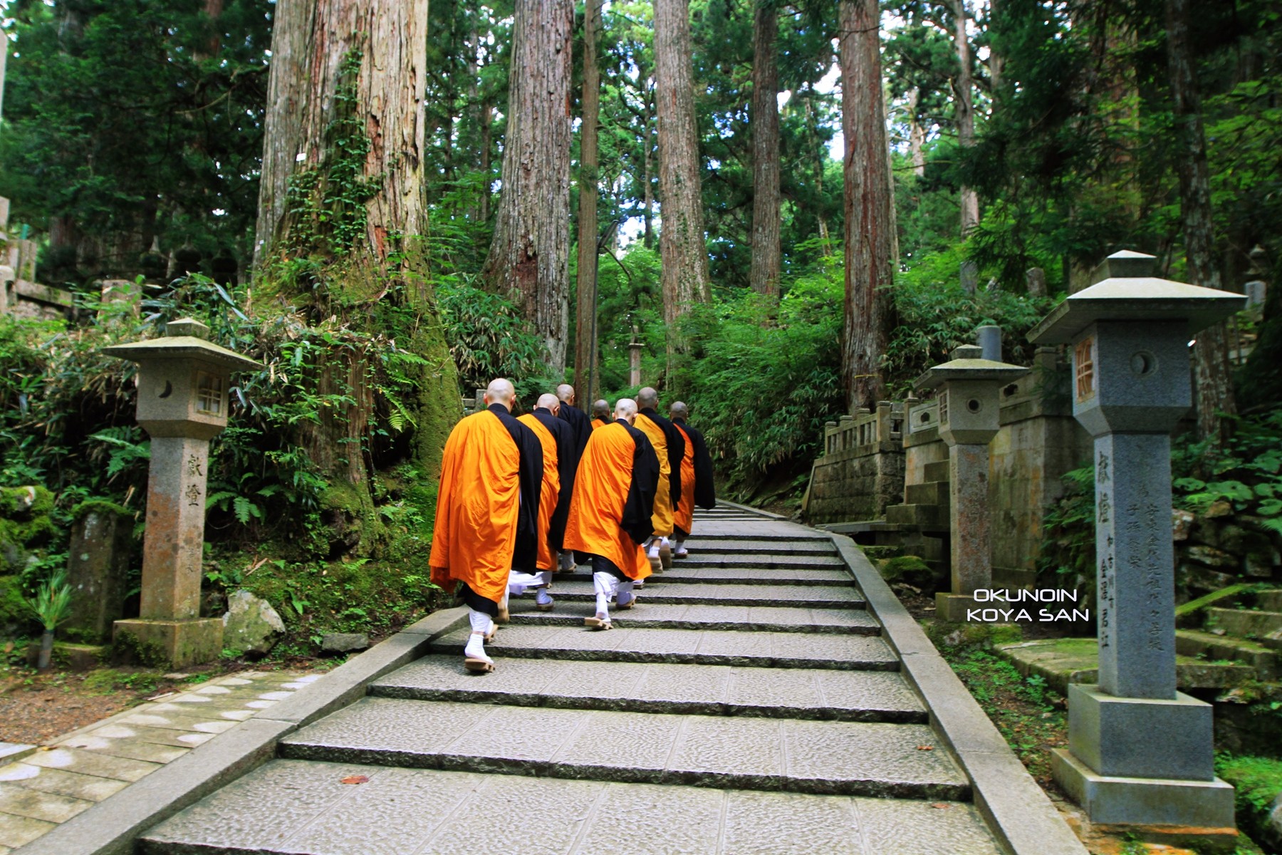 和歌山县游记 和歌山县旅行游记 和歌山县自由行游记攻略 穷游网