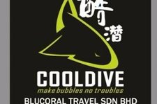 仙本那 Cooldive 酷潜潜水中心