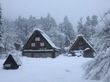 白雪皑皑的日本中部升龙道之旅（名古屋、金泽、高山、白川乡）