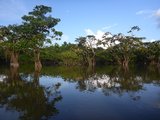 亚马逊雨林生活体验，返璞归真之旅