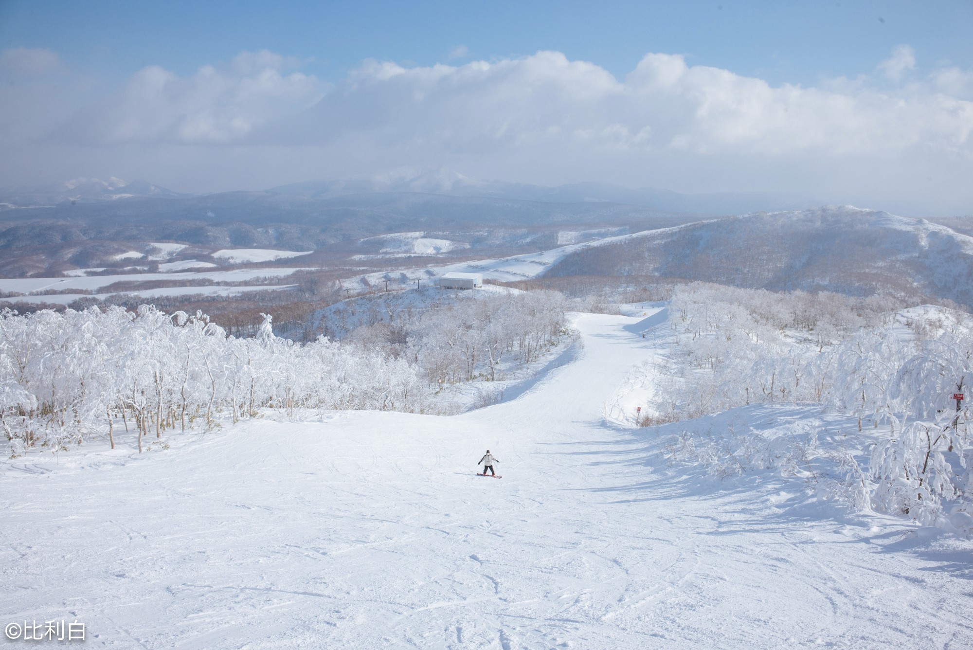 北海道的白色森林 留寿都滑雪场 日本 户外运动 论坛 穷游网