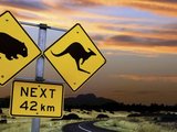 澳洲打工度假签证申请套路，澳大利亚WHV，亲身经历+大量Q&A