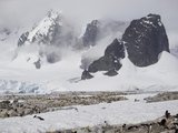 南极的一些经验和照片