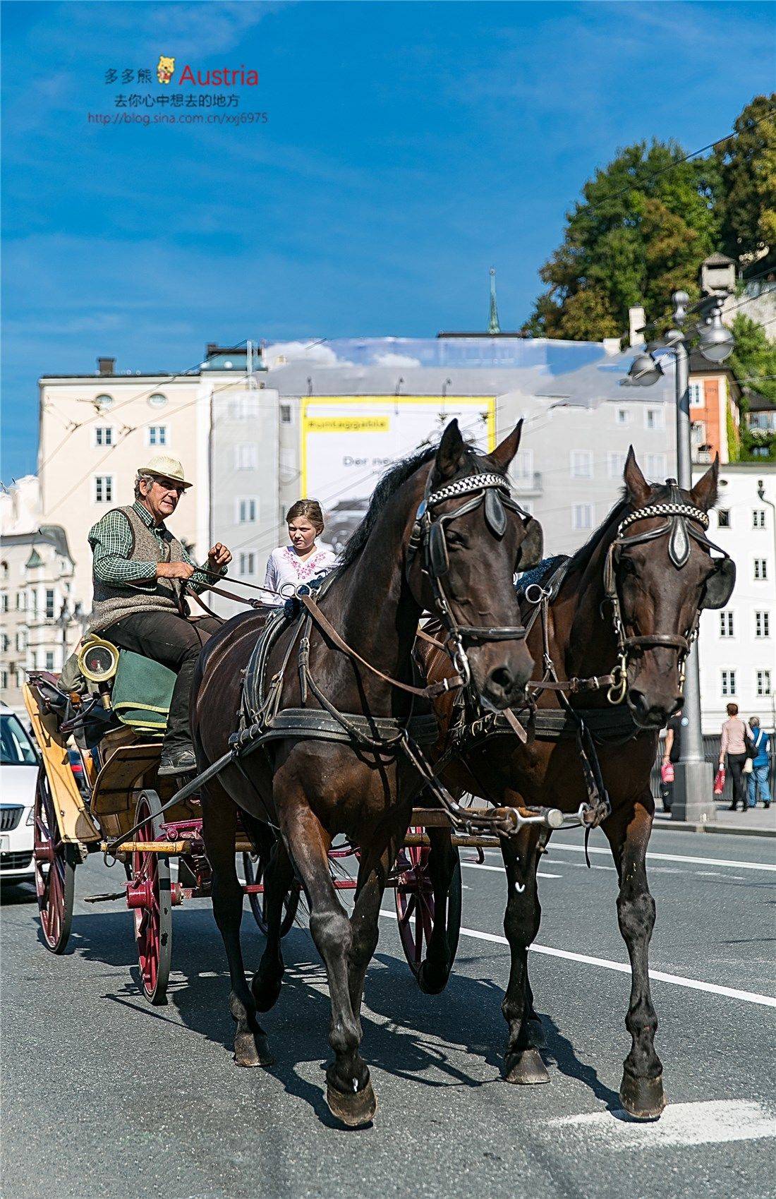 【你的世界地图长什么样】之【奥地利,左手童