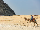 【梦回埃及】不一样的角度感受这埋藏七千年的历史