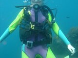 巴厘岛潜水--新人报道帖
