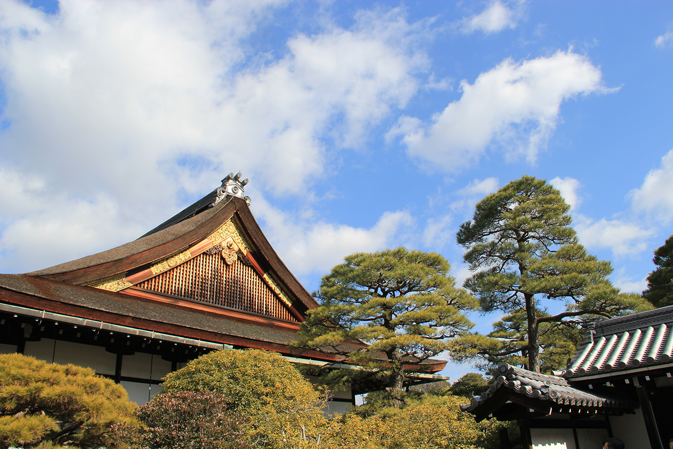 实用攻略 180余张美图 17年春节京都奈良大阪10天自由行 日本 论坛 穷游网