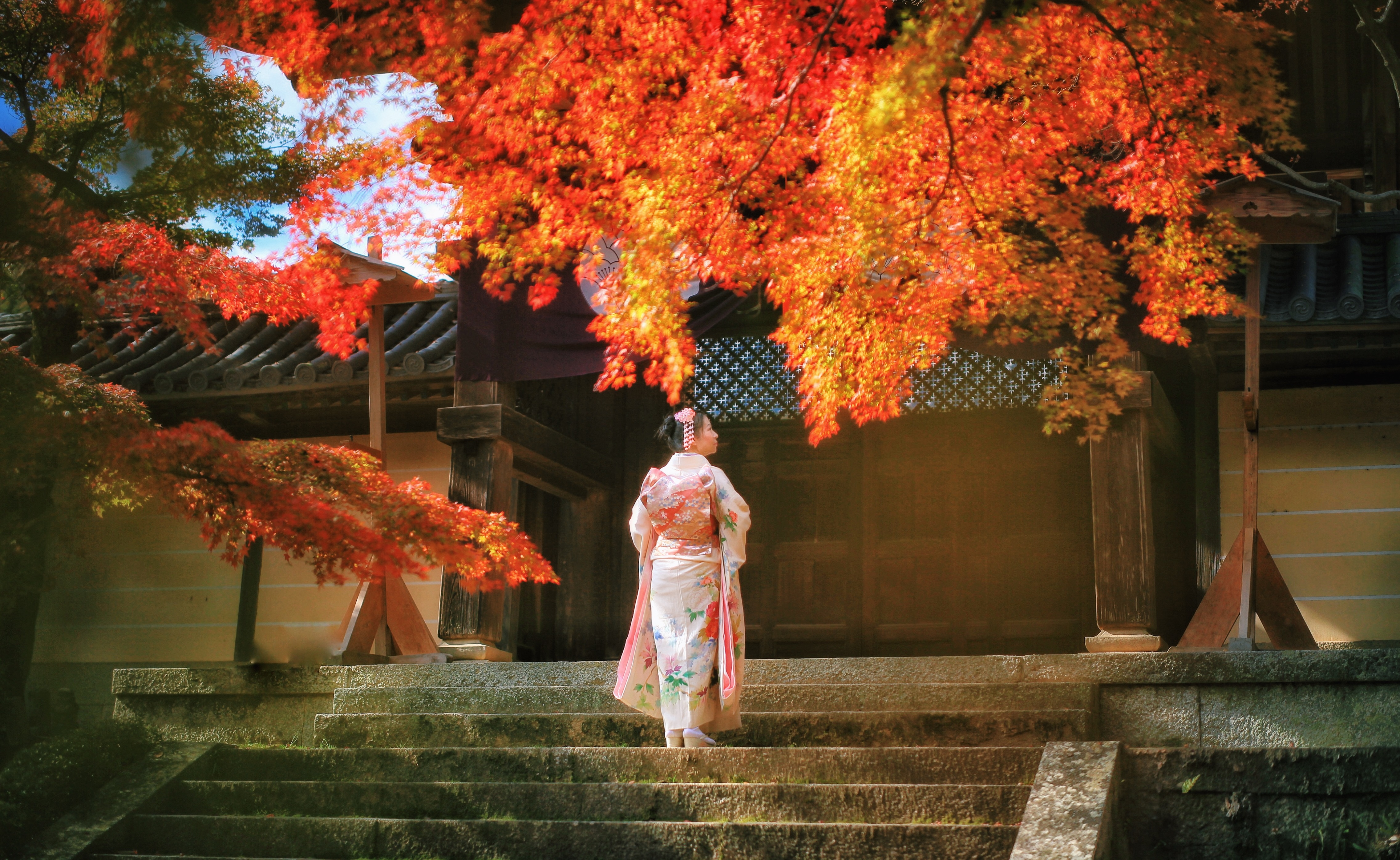 人在途上 盛放的年華 醉紅的秋楓 16京都紅葉狩 比叡山 圓光寺 神護寺 光明寺 大阪全贴完电梯已搭建 日本 旅行摄影 论坛