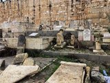 我遍访墓地，在耶路撒冷探寻生命的意义