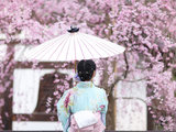 【預約櫻花雨】我和京都的第三个故事 （摄影美图，Qhome 探秘，京都赏花地大盘点）