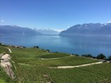 【在雪山与鲜花中行走】--Lucy的瑞士15天自由行~~从莱茵瀑布一路向西--由白雪皑皑到碧绿旖旎--附带攻略~已完结~