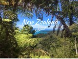 在新西兰，遇见最美的生命、星空、大自然——18天南岛逆时针自驾游【全文完】