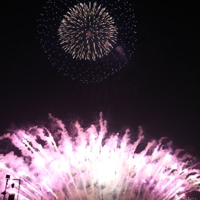 浪漫仲夏夜 大阪浪速淀川花火大会完全攻略 日本 论坛 穷游网