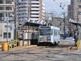 北海道 带娃探雪 十日记