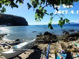 考OW证那事儿--2017Holy week 菲律宾PG岛潜水攻略