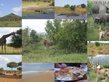 10 年初靠两本旅行书搞定南非~ (kruger, sodwana bay, st lucia,hluhluwe+swaziland )