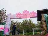 触手可及的十里樱花，“花田广兴”浪漫樱花园