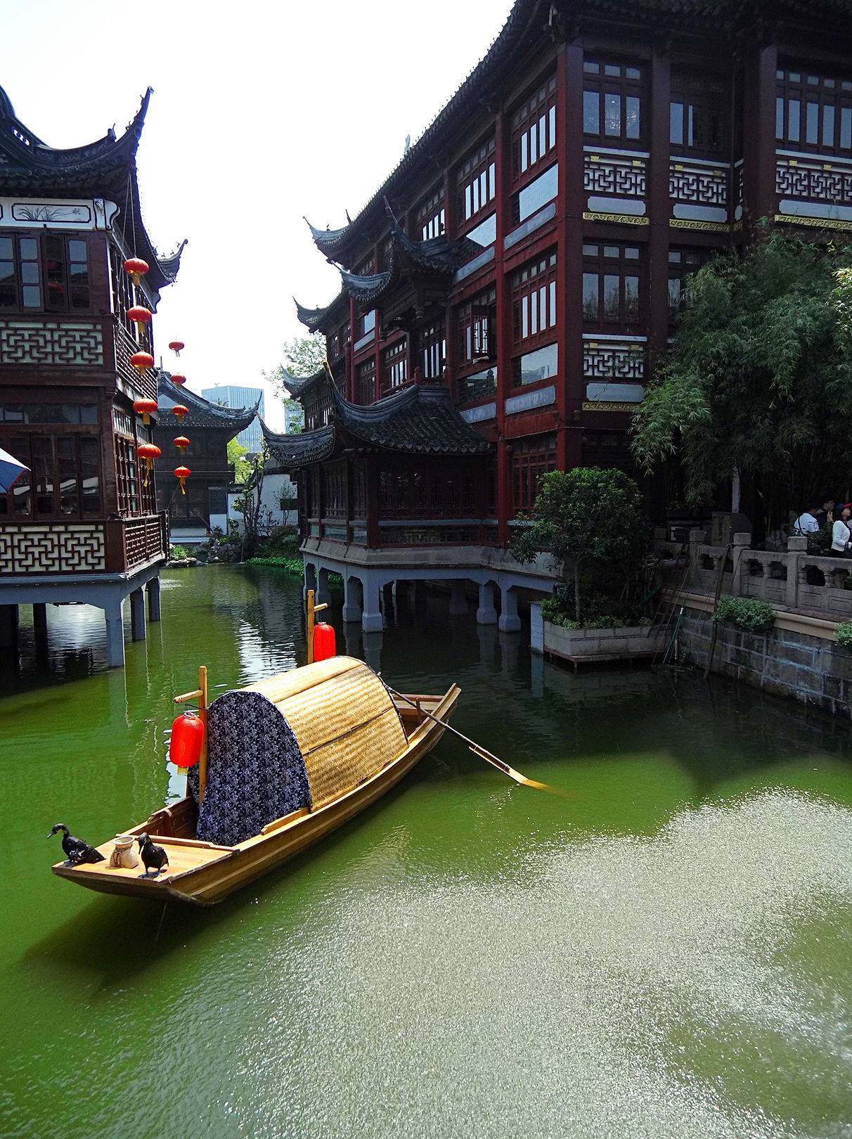 【游走沪杭】2017年五一上海杭州5日游