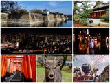 冬季到日本去看鹿~ 2017年1月关西亲子游（大阪、京都、奈良、环球影城）