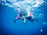 【在七色琉璃海，做上帝的一尾鱼】——水下／无人机航拍／延时摄影／帕劳海陆空多维度全解析