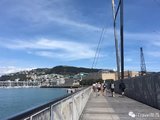 最COOL的小首都“Wellington”(两天一夜的艺术文化体验之旅)