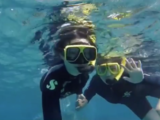 带来惊险刺激和人生体验的波多黎各－浮潜，游荧光湖