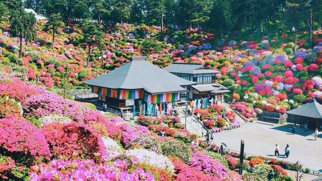 盐船观音寺景点观光攻略 盐船观音寺地址 盐船观音寺门票查询预订 穷游网移动版