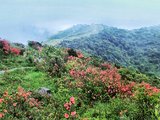 贺州姑婆山+黄姚古镇两天游