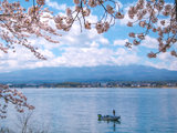 一场张狂的后樱花季——热海富士山三日小巡游［完结］