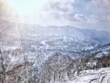北海道Kiroro 喜乐乐酒店滑雪3日，一些感受&tips