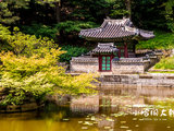 [2023年韩国] 旅游信息互助：首尔到釜山出行指南（不定期更新）