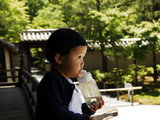 一年一行看世界，日本关西 二孩家庭7日穷游记