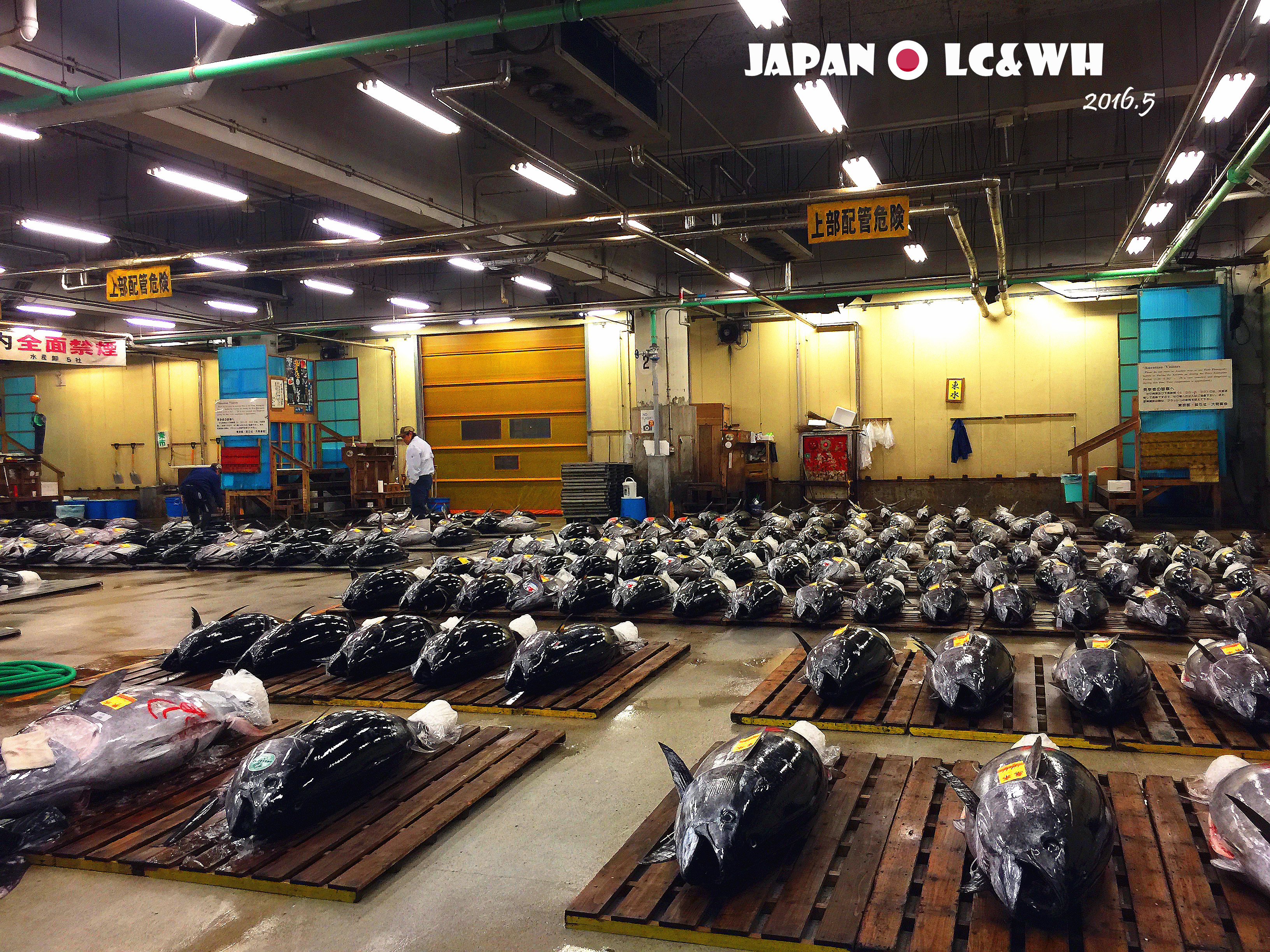 藤泽市游记 藤泽市旅行游记 藤泽市自由行游记攻略 穷游网