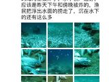 你怎么看渔民海里的炸鱼行为？