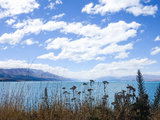 和四哥的小冒险——新西兰南岛11天蜜月自驾游小记